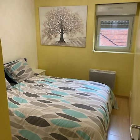 Bel Appartement Coeur De Ville Chalon-sur-Saône Eksteriør billede
