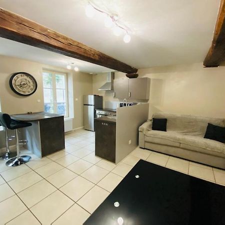 Bel Appartement Coeur De Ville Chalon-sur-Saône Eksteriør billede